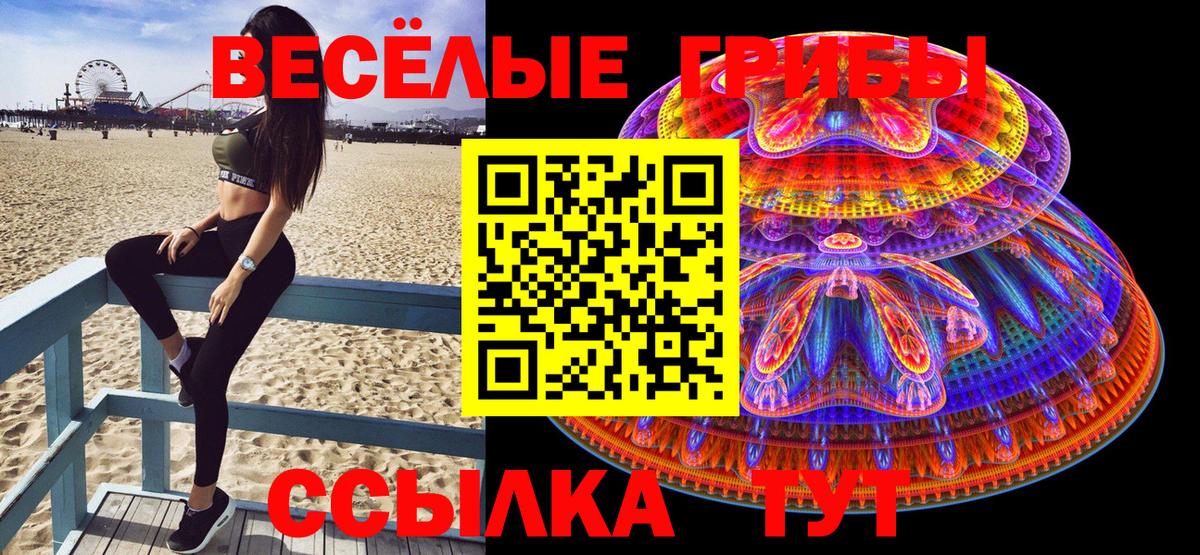 Псилоцибиновые грибы Psilocybe Клинцы